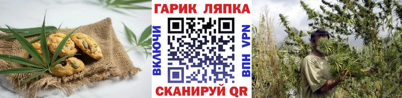 Canna-Cookies конопля  цены наркотик  Елабуга 