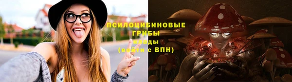 стафф Армянск