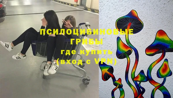 ешки Балахна