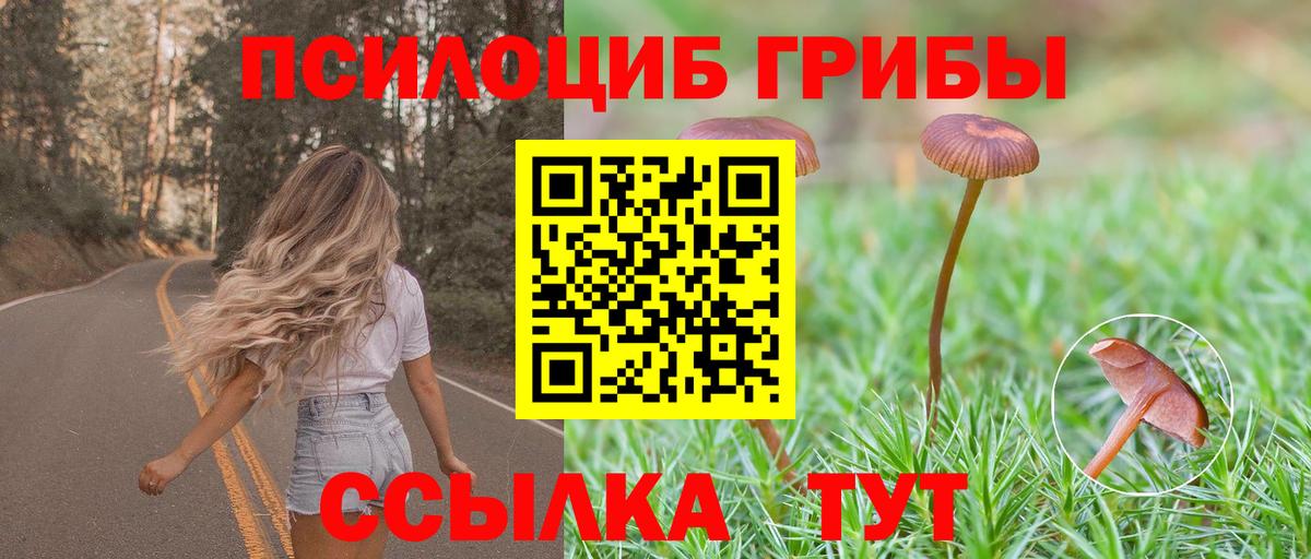 Елабуга  Псилоцибиновые грибы MAGIC MUSHROOMS  Вход с VPN  Псилоцибиновые грибы прущие грибы 